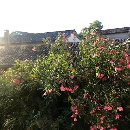 Bed & Breakfast Du Couvent, Vue Chateau Giroussens